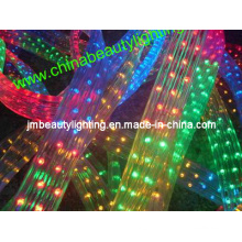 LED Strip Light 5 Wires LED Rope Light (Flat Shape)